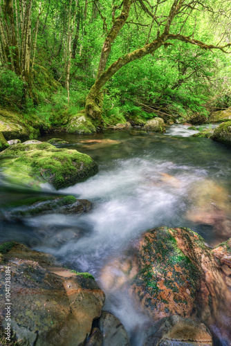 Water course on a spring day in Courel