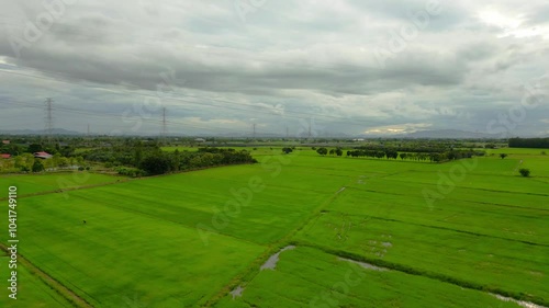 Aerial landscape of vibrant green rice fields under cloudy skies, with power lines and distant mountains on the horizon.
