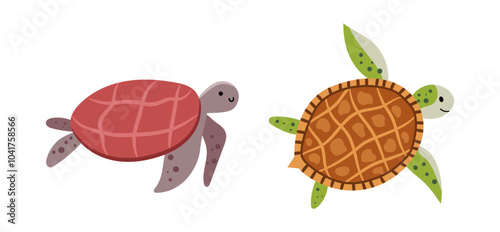 Tortoises or turtles, isolated land, ocean dwelling reptiles. Vector cold blooded aquatic animal, slow moving marine creature with leathery domed shell. Sea life and fauna, nature and environment