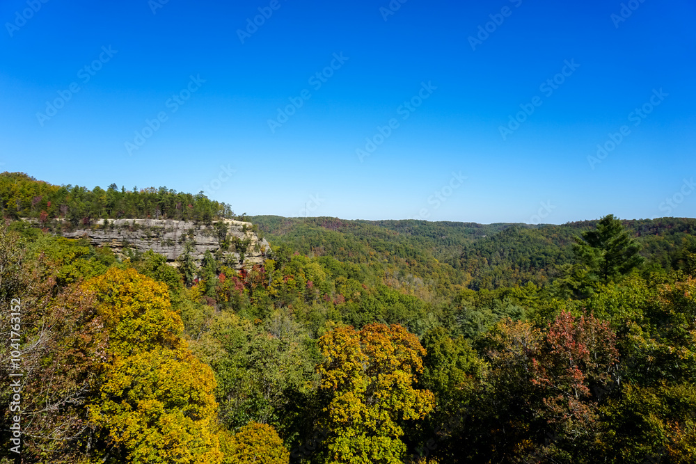 Fototapeta premium autumn in the mountains forest