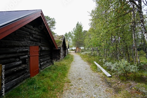 Rustic cabins in a lush forest setting.