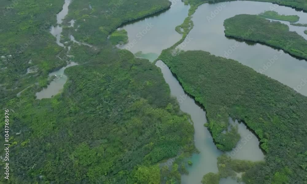 The camera starts from above, capturing abstract shapes in a lush estuary. As the descends, the network of water channels and surrounding vegetation create a vibrant setting The camera starts from above, capturing abstract shapes in a lush estuary. As the descends, the network of water channels and surrounding vegetation create a vibrant setting