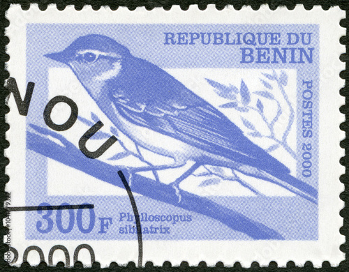 BENIN - 2000: shows wood warbler Phylloscopus sibilatrix, African Wildlife Birds, 2000 photo