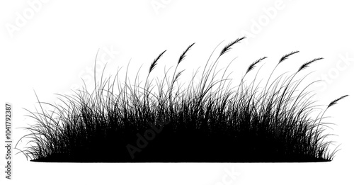 An illustration of a random grass silhouette set in black and white on a flat modern background.