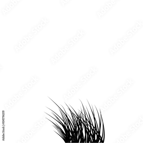 Beach grass  reeds silhouette isolated on white