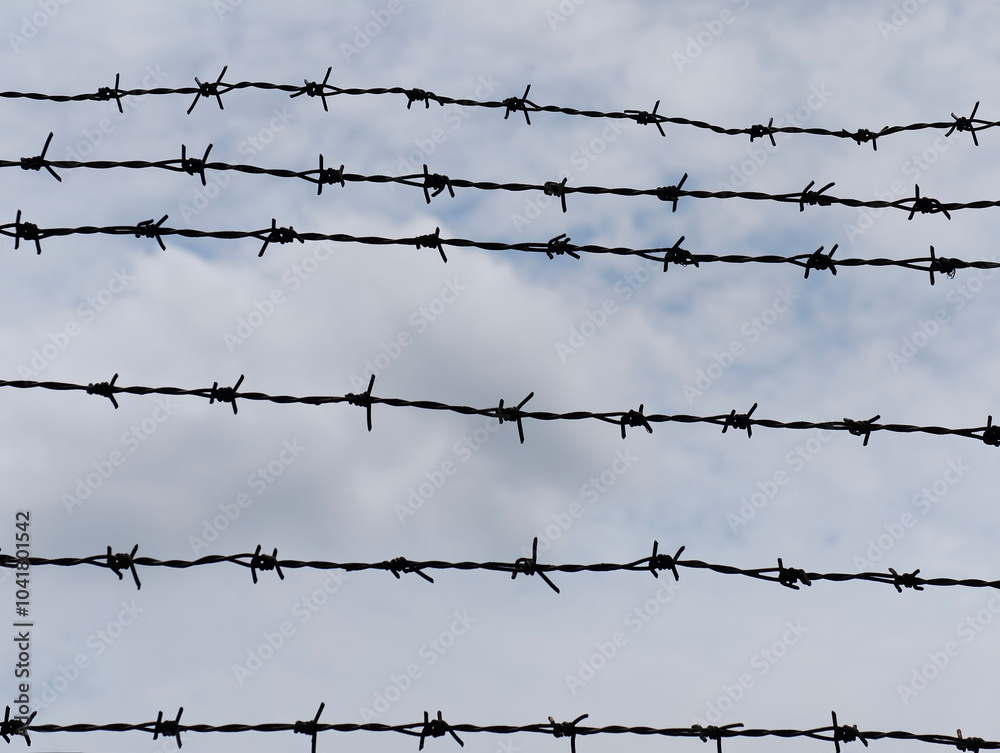Barbed wire stretched as a fence to prevent theft or intrusion, with the sky as the background. Barbed wire stretched as a fence to prevent theft or intrusion, with the sky as the background.