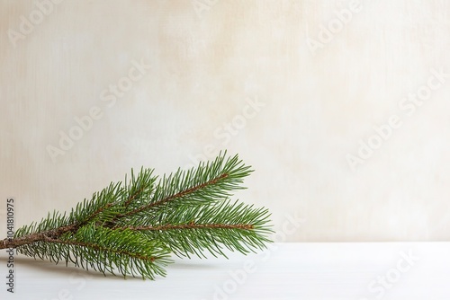 Wallpaper Mural Pine branch on white surface against neutral backdrop Torontodigital.ca