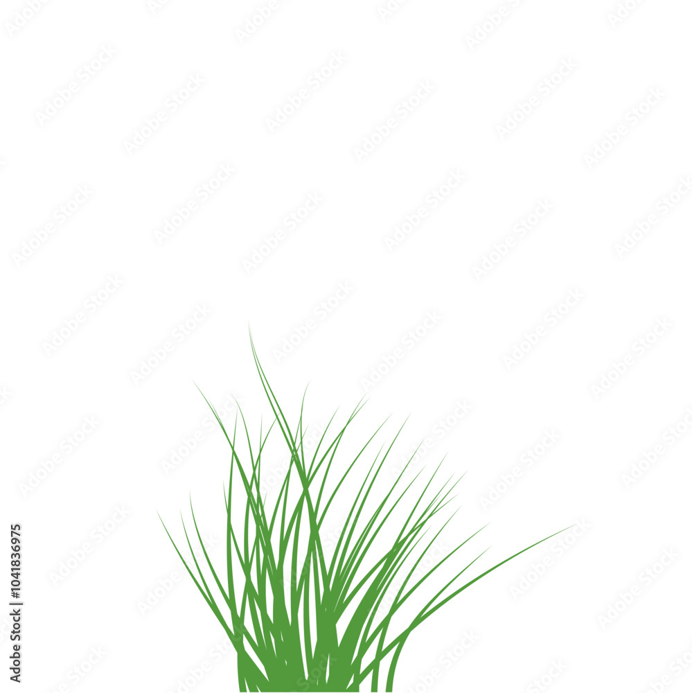 Green Grass Borders Green Grass Borders