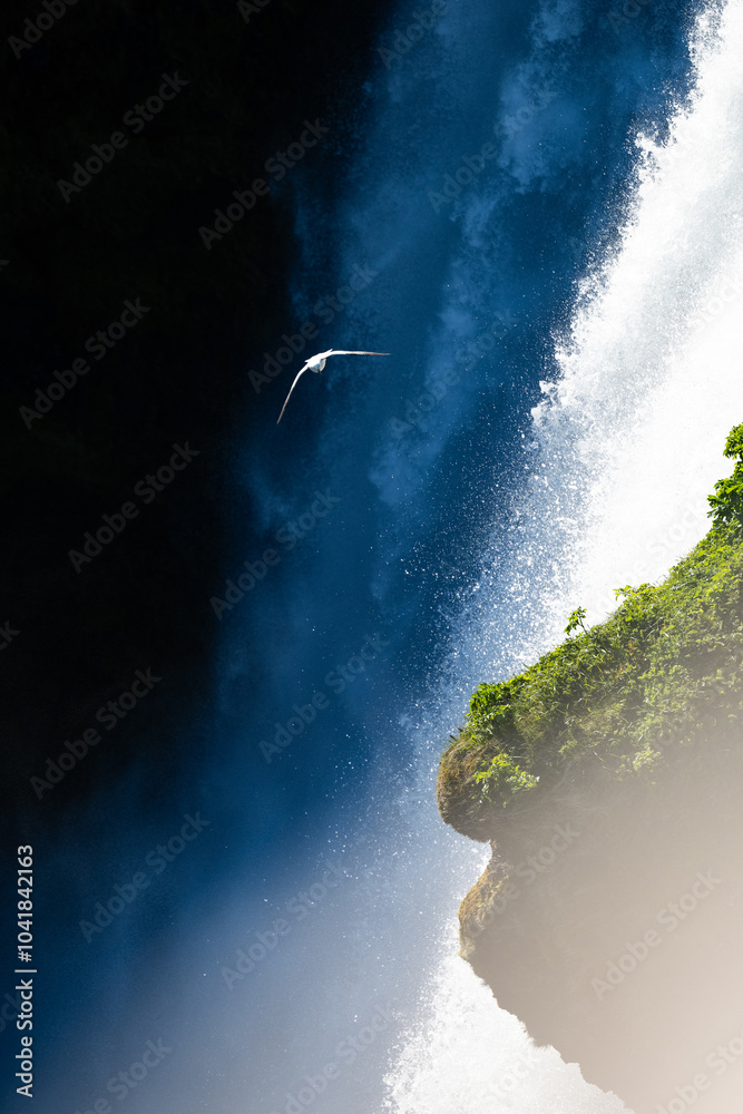 Stunning view of a seagull flying in front of the beautiful Skogafoss waterfall, Iceland.