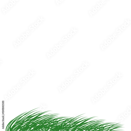 grass blown by the wind