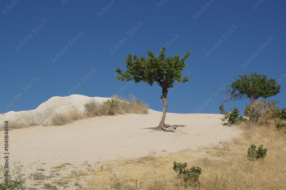 Obraz premium Journey to the ancient Christian city of Cappadocia (Goreme, Turkey)