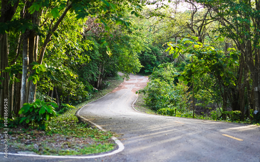 Empty curved concrete roadway winds through a green nature park with trees and plants in the forest, national park view in Thailand Empty curved concrete roadway winds through a green nature park with trees and plants in the forest, national park view in Thailand
