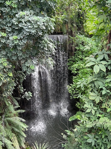 waterfall in the forest