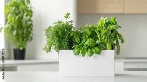 Fresh Herb and Vegetable Delivery: Modern Kitchen Prep for Home-Cooked Meal