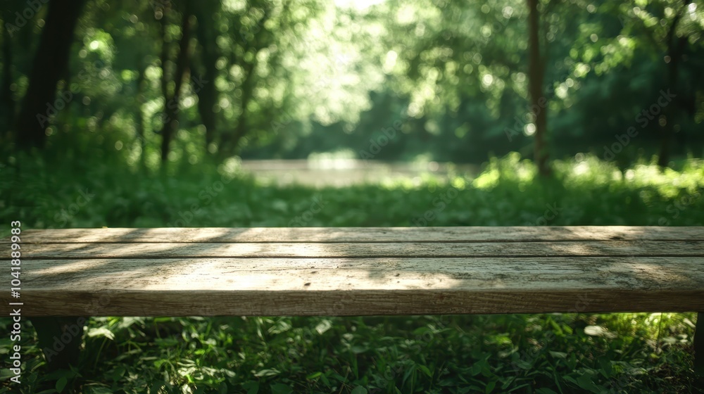 Fototapeta premium An empty park bench is prominently featured against a blurred background of a lush forest in daylight, inviting relaxation and the enjoyment of nature's tranquility.