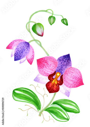 Branch with pink orchid flowers, colorful hand drawn sketch with markers for design of postcards, posters, surfaces.