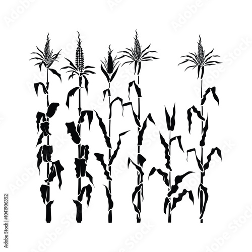 Corn Stalks Silhouettes set Clipart on a white Background