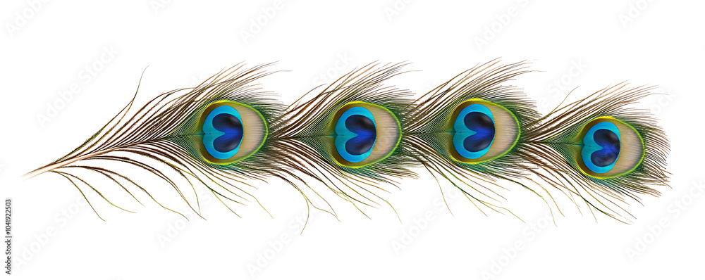 Obraz premium A beautiful display of peacock feathers arranged delicately on a white backdrop. The vibrant colors of green, blue, and gold contrast elegantly against the minimal background