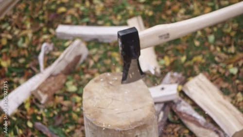 Wallpaper Mural Chopping birch wood with an axe on a wooden block. Splinters and chips fly in slow motion after each strike. Sunny day in the yard, firewood stacked in the background. Torontodigital.ca