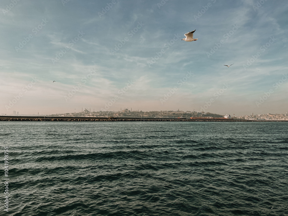 a seagull flying over the Bosphorus in Istanbulm, Panorama of Istanbul, panorama of the city in Turkey, panorama of the city of Istanbul, view of the city of Istanbul a seagull flying over the Bosphorus in Istanbulm, Panorama of Istanbul, panorama of the city in Turkey, panorama of the city of Istanbul, view of the city of Istanbul