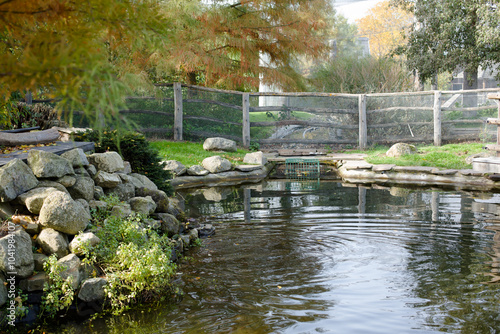 Olbramovice, Czech republic - October 19, 2024: Serene and Picturesque Pond Surrounded by Nature photo