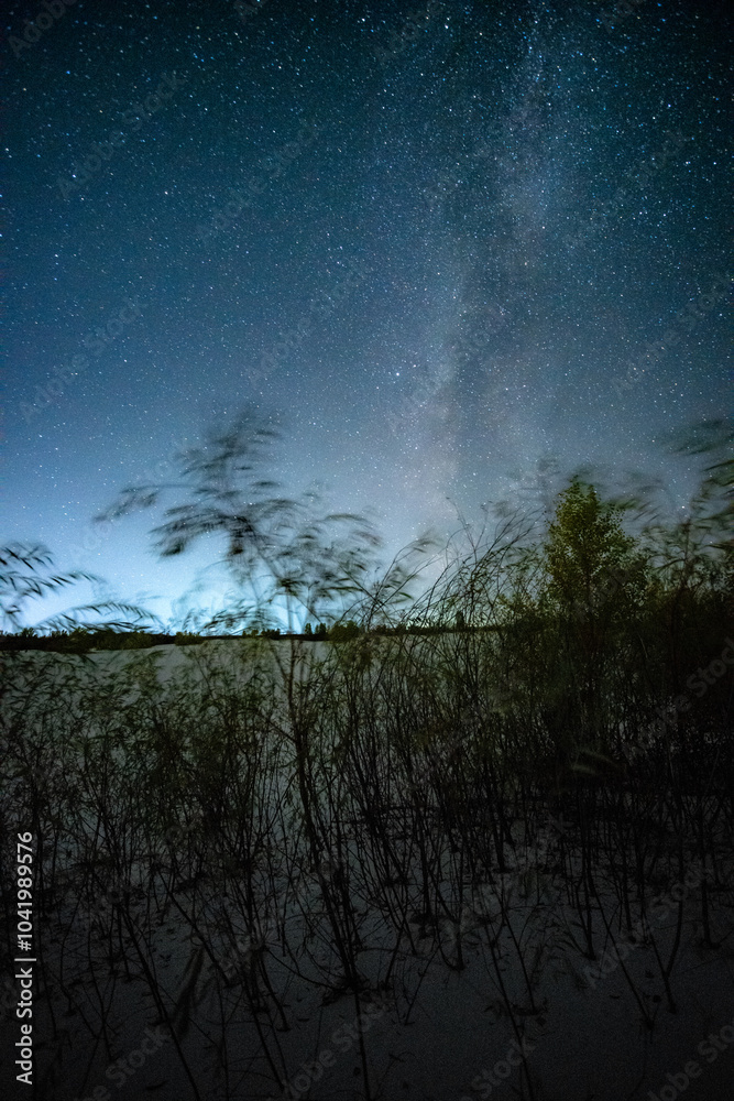 Night and beautiful landscape with a galaxy on the sky ,sand quarry at the night, cold and blue colors on picture.Trees stands on the sand , milky way on the background , night shot , Ukrainian nature Night and beautiful landscape with a galaxy on the sky ,sand quarry at the night, cold and blue colors on picture.Trees stands on the sand , milky way on the background , night shot , Ukrainian nature