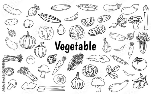 vegetable line art hand drawn doodle