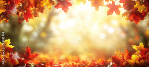 Blurred sunlight with autumn maple leaves