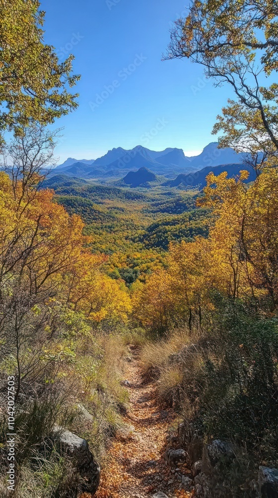 Autumn Path Through Forest Landscape Photo Autumn Path Through Forest Landscape Photo