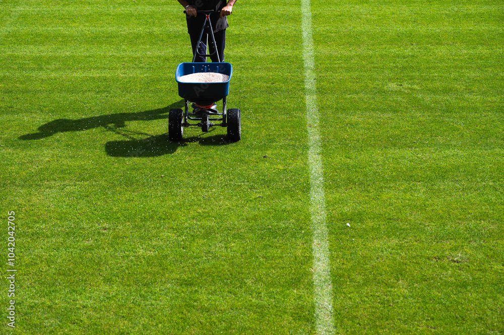 Groundsman spreads fertilizer for grass on a football pitch