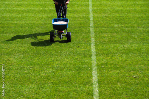 Obraz na płótnie Groundsman spreads fertilizer for grass on a football pitch w salonie