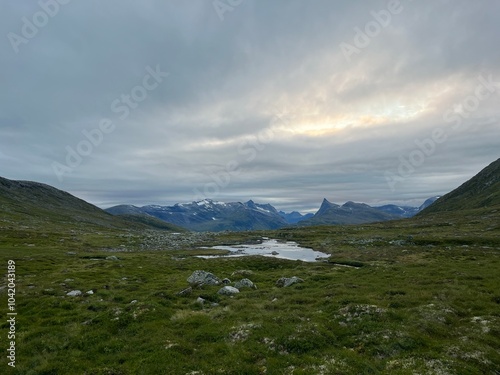 A serene, remote landscape of green valleys and rocky terrain, with snow-capped mountains reflecting in calm waters beneath an overcast sky, radiating peaceful solitude.