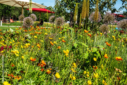 Impressions from the State Garden Show 2024 in Kirchheim, Bavaria, Germany photo