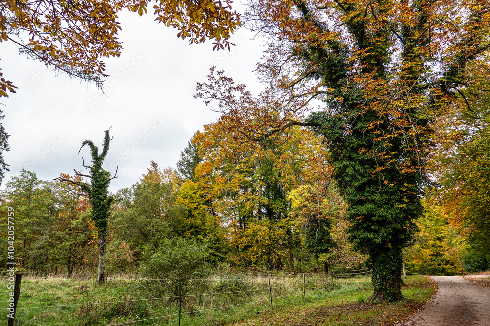 Autumn view at Bernrieder Park on Lake Starnberg, Bavaria, Upper Bavaria, Germany Autumn view at Bernrieder Park on Lake Starnberg, Bavaria, Upper Bavaria, Germany