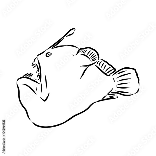 Angler fish, Lophiiformes, vector illustration. Drawing