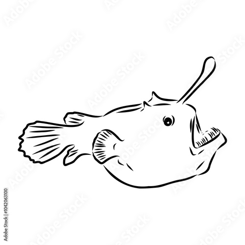 Angler fish, Lophiiformes, vector illustration. Drawing