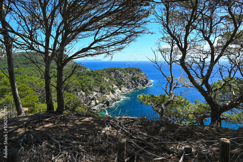 Sunny day on wild coast Porquerolles Island, Bluff and sea, France, High quality photo photo