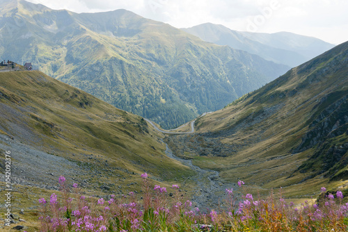 A breathtaking panoramic view of the Carpathian Mountains in Romania, featuring a stretch of the Transfăgărășan Highway winding through the valley. 