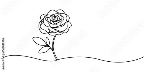 Continuous one line drawing of rose flower vector illustration. Premium vector, Flower in continuous line art drawing style. Rose flower minimalist black linear design isolated on white background.