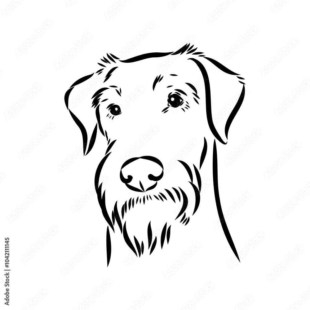 Dog . Vector silhouette of dog. Irish terrier, vector sketch Dog . Vector silhouette of dog. Irish terrier, vector sketch