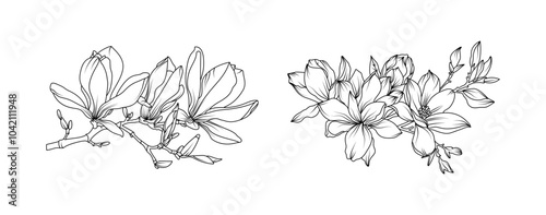 Magnolia flower arrangement line art on white background. Silhouette magnolia botanical hand drawn element for wedding, invitation frame design, vector illustration