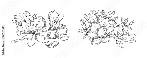 Magnolia flower arrangement line art on white background. Silhouette magnolia botanical hand drawn element for wedding, invitation frame design, vector illustration