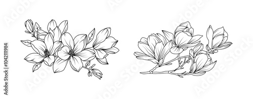 Magnolia flower arrangement line art on white background. Silhouette magnolia botanical hand drawn element for wedding, invitation frame design, vector illustration