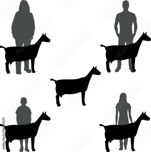 Toggenburg Goat Show Vector File, Livestock Judging Vector, Farm Girl Boy Vector, 4-H, FFA Show - Vector Art 