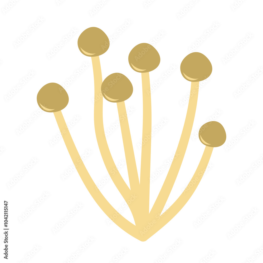 Enoki mushrooms. Vector illustration Enoki mushrooms. Vector illustration