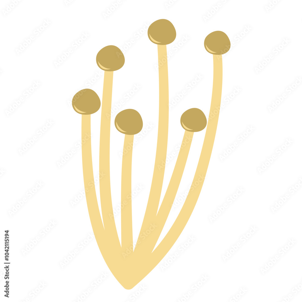Enoki mushrooms. Vector illustration Enoki mushrooms. Vector illustration