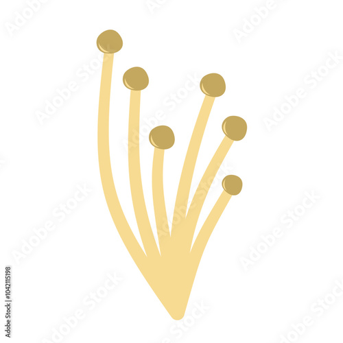 Enoki mushrooms. Vector illustration