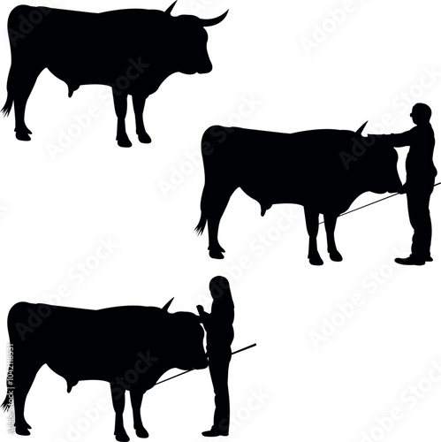 Corriente Cow Show Vector, Livestock Judging Vector, Farm Girl Boy Vector, 4-H, FFA Show - Vector Art 