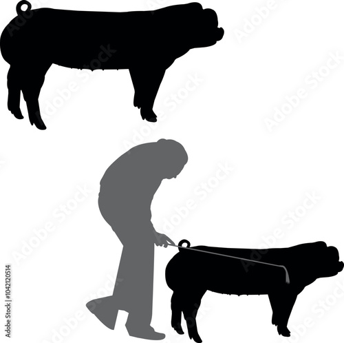 Chester White Pig Show Vector File, Livestock Judging Vector, Farm Girl Boy Vector, 4-H, FFA Show - Vector Art 