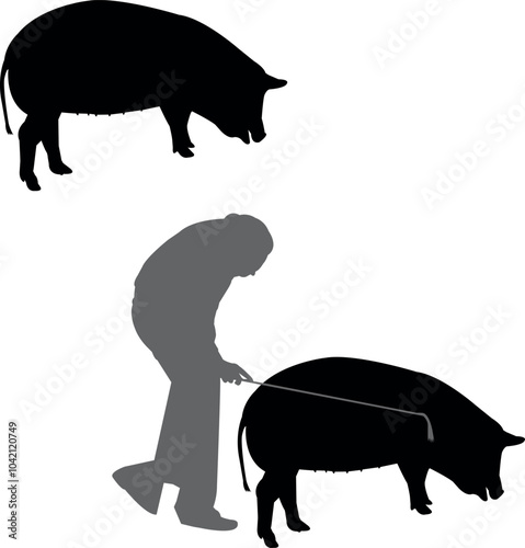 Spotted Pig Show Vector File, Livestock Judging Vector, Farm Girl Boy Vector, 4-H, FFA Show - Vector Art 